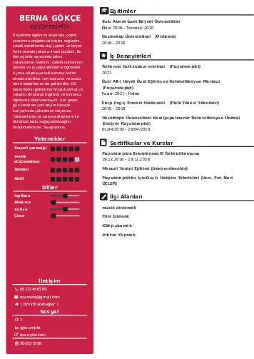 Fizyoterapist Cv Örnekleri cv indir